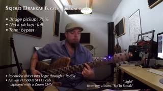 Damian Erskine playing quotLightquot Skjold 6 bass demo [upl. by Gereron]