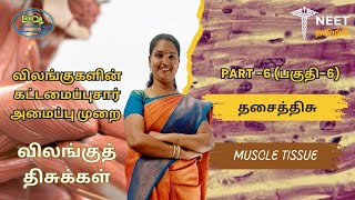 Structural Organisation in Animals  Part 6  Animal Tissues  Muscle Tissue  NEET Tamil [upl. by Sarajane]