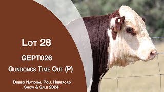 Lot 28 Gundongs Time Out P [upl. by Nelag]