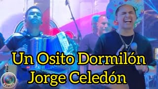 Jorge Celedón Un Osito Dormilón en vivo [upl. by Rodgers]