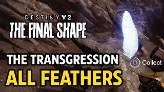 The Transgression  All 5 Feathers Location Guide  Destiny 2 [upl. by Abbe]