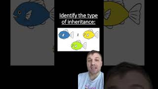 Complete vs incomplete vs Codominance [upl. by Avad]