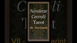 Nicolette Ceccoli Tarot VII  The Chariot guidance tarotcards tarotreading help [upl. by Irek]