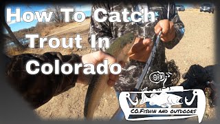 The Best Trout Fishing Techniques for Colorado [upl. by Ehav]