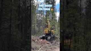 A feller buncher thins the forest to prepare for firing operations in phase 4 block [upl. by Alra901]