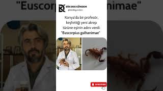 Konyada bir profesör keşfettiği yeni akrep türüne eşinin adını verdi Euscorpius gulhanimae shorts [upl. by Aisac]