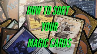 How to sort your Magic the Gathering Card Collection [upl. by Sayres]