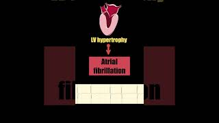 How elevated blood pressure affect the heart and cause the atrial fibrillation [upl. by Ruperto742]