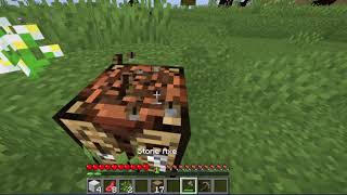 day 1 Minecraft [upl. by Alaster690]