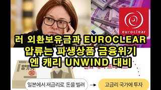 러 외환보유금과 Euroclear 압류는 파생상품 금융위기 엔 캐리 Unwind 대비 [upl. by Hurwitz485]