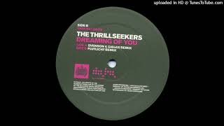 The Thrillseekers  Dreaming Of You Svenson amp Gielen Remix 2002 [upl. by Ynahteb967]