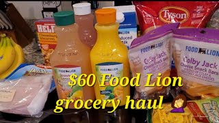 Food Lion grocery haul ☺️ 10231024 [upl. by Faria371]