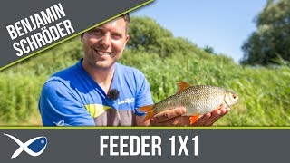 MATCH FISHING TV  Feeder 1x1 [upl. by Anais]