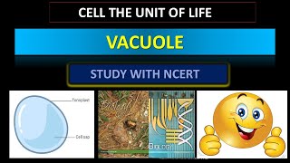 VACUOLEENDOMEMBRANOUS SYSTEMneet2024 ncert biology [upl. by Ajnek38]