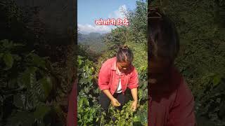 shortvideo villagelife munarai6291 [upl. by Servetnick]