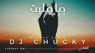 DJ Chucky  Al Shami Ma Malet X Fireboy DML Peru MASHUPREMIX الشامي  ما مليت [upl. by Eleanor]