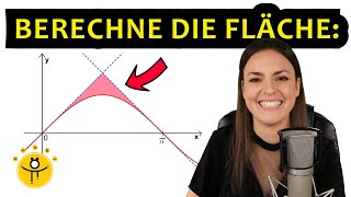 Mathe ABITUR Analysis – Aufgabe Integralrechnung [upl. by Ennobe]