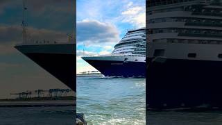 MS Rotterdam 🛳️⚓️like share comment subscribe cruiseship cruise vacation shorts short wow [upl. by Achorn]