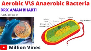 Aerobic and Anaerobic Bacteria  difference aerobic amp anaerobic bacteria  Million Vines  MV [upl. by Ardnuahsal]