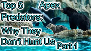 Top 5 Apex Predators Why They Dont Hunt Us [upl. by Ffilc]