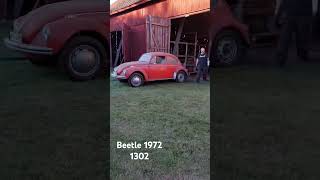 Beetle saved from barn sitting over 20 years [upl. by Luttrell]