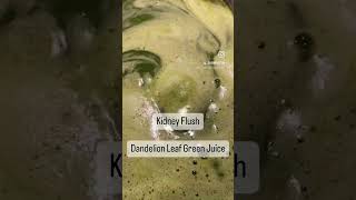 Flush your kidneys with this Dandelion Green Leaf Juice [upl. by Loferski844]