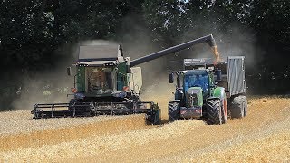 MOISSON HARVEST 2018 ETA DHERVE FENDT NEW HOLLAND FLIEGL [upl. by Ennayelsel]