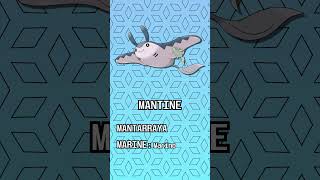 🌊Etimología Pokémon MANTINE y MANTYKE🌊 [upl. by Esoj]