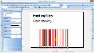 Kurs NiceLabel 01  Tworzenie etykiety podstawy [upl. by Anceline]