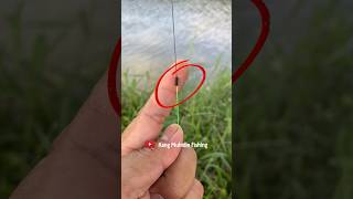 BEST FISHING KNOT BRAID TO FLOUROCARBON fishing fishingknot knottutorial [upl. by Eerak]