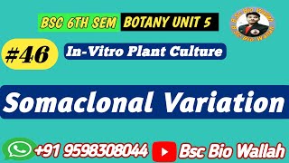 Somaclonal Variation in Pant Tissue Culture l Causes Application [upl. by Zonnya]