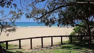 Nature at its finest 😀 Noosa Heads QUEENSLAND AUSTRALIA 🇦🇺 [upl. by Eatnoed]