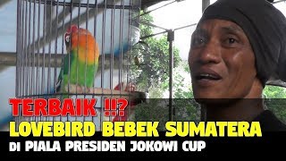 TERBAIK  LB BEBEK SUMATERA DI PIALA PRESIDEN JOKOWI CUP [upl. by Airan511]