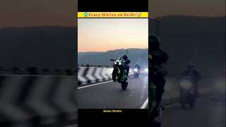 Crazy Whilee on Zx10r 😨😱🤯shorts viral whilee video trending jannustuntz valourrider [upl. by Enehpets]