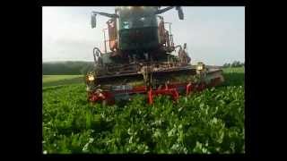 Holmer Terra Dos T3 Plus Rübenroder Produktvideo von 2011  LandtechnikTV [upl. by Lyndell]