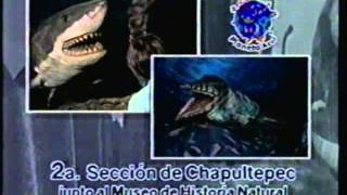 Comerciales de televisión de abril de 2000 XHGC canal 5 de México [upl. by Ainola]