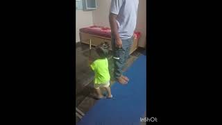 Siri PM  ಗೌರಿ ಹುಣ್ಣಿಮೆ dance practice  kannada short cutebaby  trending one  hindi short [upl. by Rainer755]