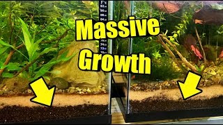 The PERFECT Soil For Aquarium Plants and Planted Tanks [upl. by Anuait]