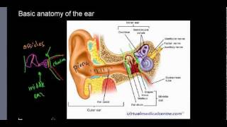 lecture 22 part 1 Basic anatomy of ear ossicles choclea [upl. by Moynahan]