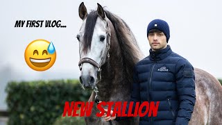 New Sales Horse Home Renovations amp Buying Jesse a Birthday Gift VLOG 1 [upl. by Northrup]