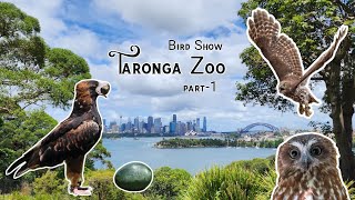 Bird show  Taronga Zoo  part 1 [upl. by Oirom]