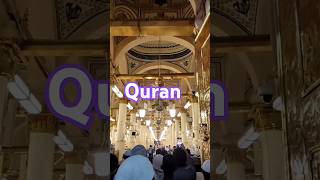 Quran translation 🥰😍 explore viralvideo love urdu islamicshorts [upl. by Ainalem251]