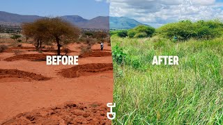 How Africa is Transforming Dry Land into Green Forests [upl. by Ennoid656]