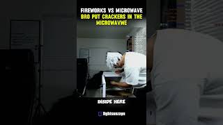 Microwave VS Fireworks gone wrong 😱shorts viral lightsunzayn [upl. by Leamhsi]