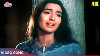 Lata Mangeshkar Ka Dardbhara Gaana  Aaja Re Pyar Pukare  Nutan Dharmendra  Dil Ne Phir Yaad Kiya [upl. by Bess]