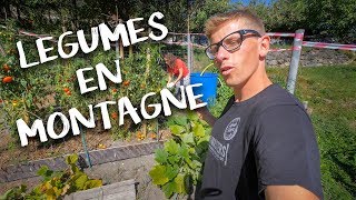 JARDIN ET EXTERIEUR  Passion Rénovation Ep23  potager legumes [upl. by Leohcin]