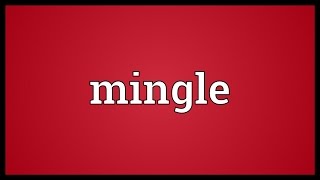 Mingle Meaning [upl. by Mitran]