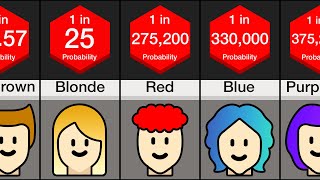 Probability Comparison Hair Color [upl. by Aivek]