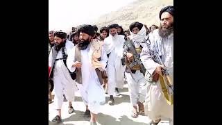 Taliban Attitude Status  Power Of Afghan Taliban  Afghan Taliban Attitude Status  Taliban Power 💪 [upl. by Ominoreg573]