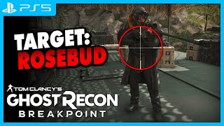 Ghost Recon Breakpoint  Snipestream  BossJagd auf ROSEBUD [upl. by Anez962]